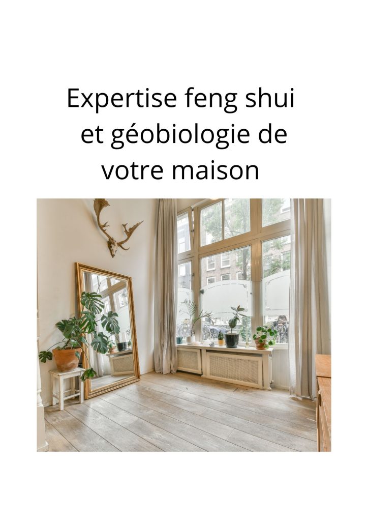 Expertise feng shui - devis